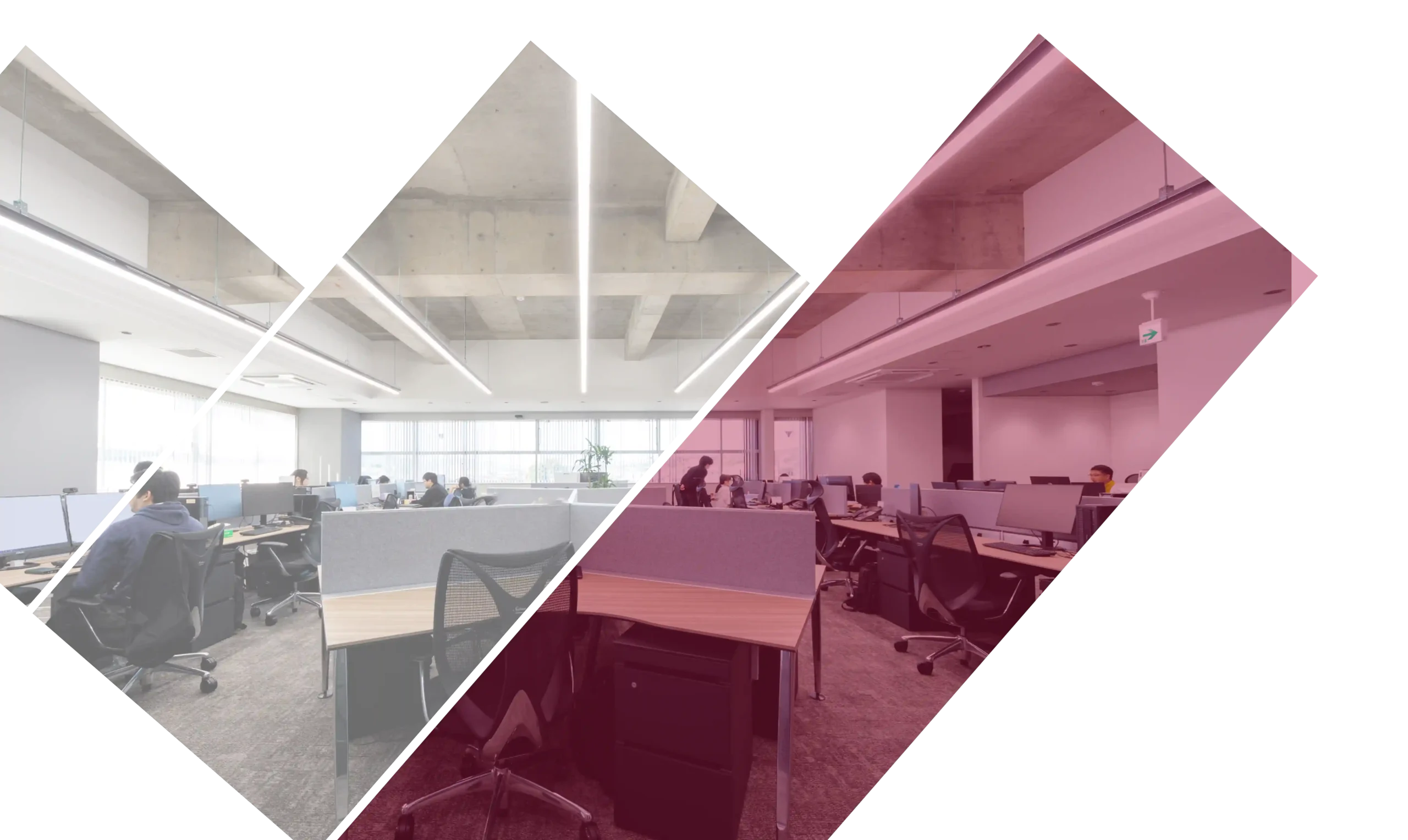 ワードシステムのオフィス風景