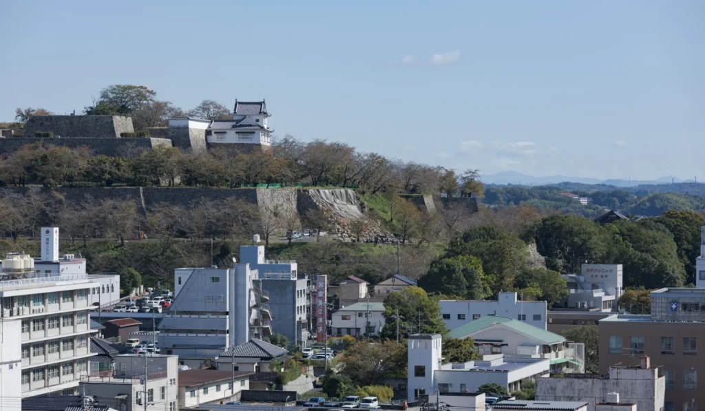 ワードシステム本社からの津山市内の風景