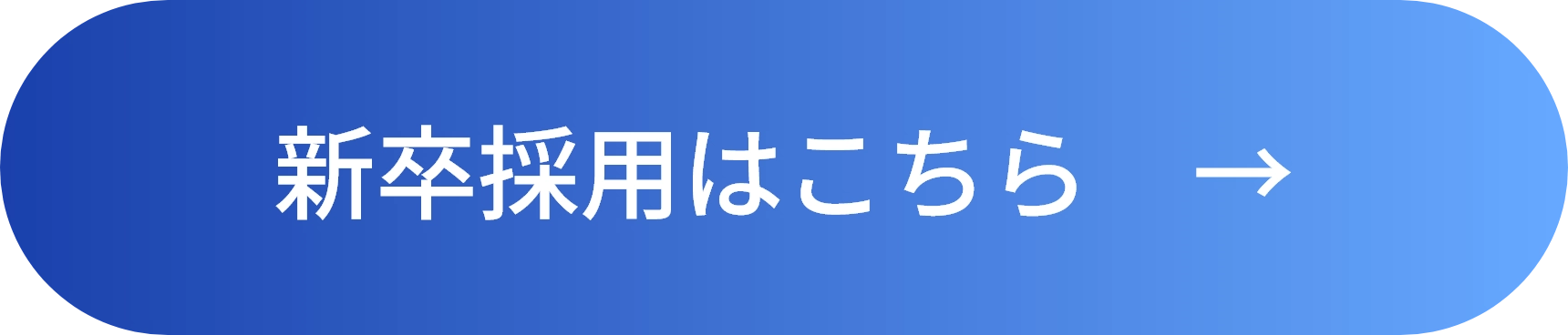 新卒採用はこちら